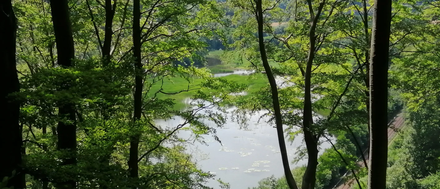 Blick auf Itelteich mit Bahnstrecke