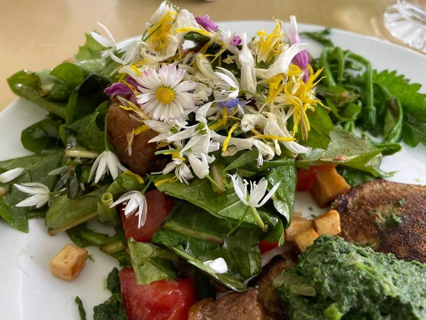 Wildkräuter Blumengericht Naturpur Naturerlebnisse