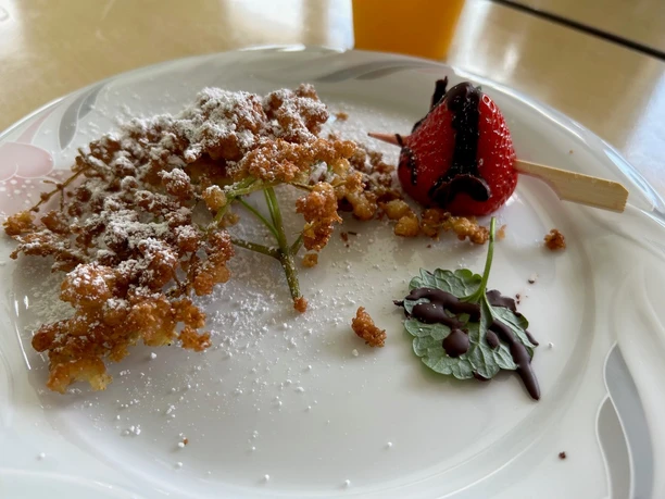 Wildkräuter Holunderblüten Naturpur Naturerlebnisse