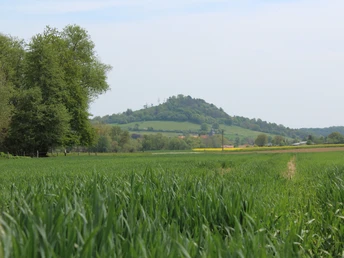 Niedenstein Weissenthal Blick auf Wartberg Kirchberg 2020 05 09 ccbyStadtNiedenstein