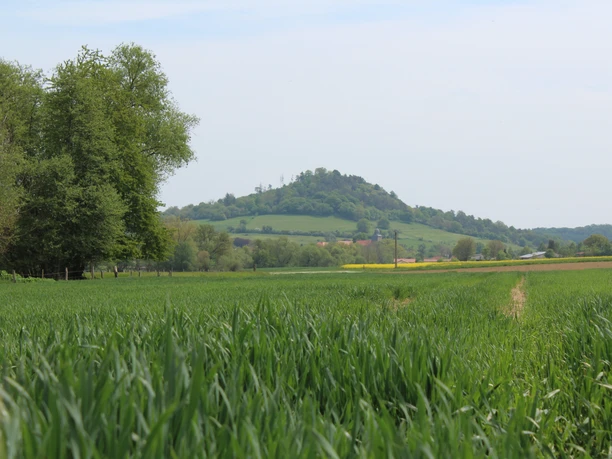 Niedenstein Weissenthal Blick auf Wartberg Kirchberg 2020 05 09 ccbyStadtNiedenstein