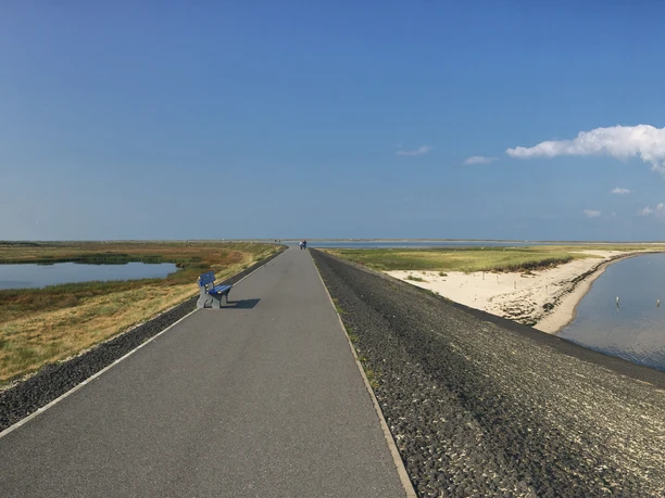 Panorama des Mövenbergdeichs in List