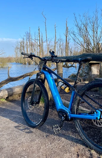 Moorwald Plaggenburg in Aurich