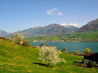 Blick von Wilen über den Sarnersee Richtung Sachseln