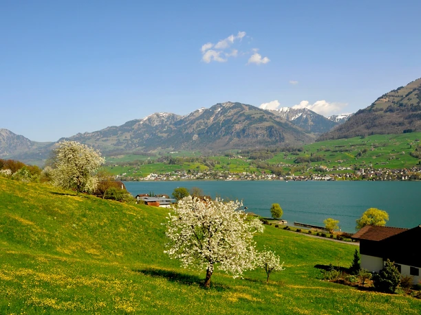 Blick von Wilen über den Sarnersee Richtung Sachseln
