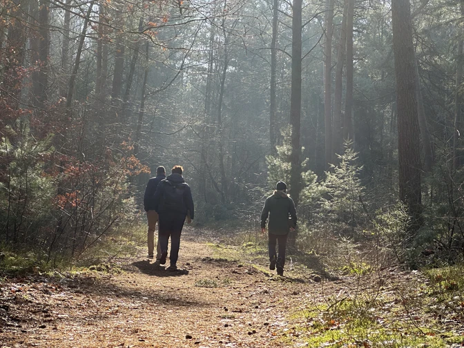 Wanderer im Esterfelder Forst
