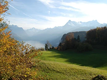 Blick vom Wald aus auf den Vierwaldstättersee