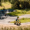 Kinder fahren mit Fahrrädern auf einem hügeligen Pumptrack umgeben von Bäumen und Wiesen.