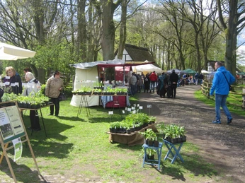 Stände mit Pflanzen und handgefertigten Waren entlang eines Baumwegs beim Museumshof Rahden.