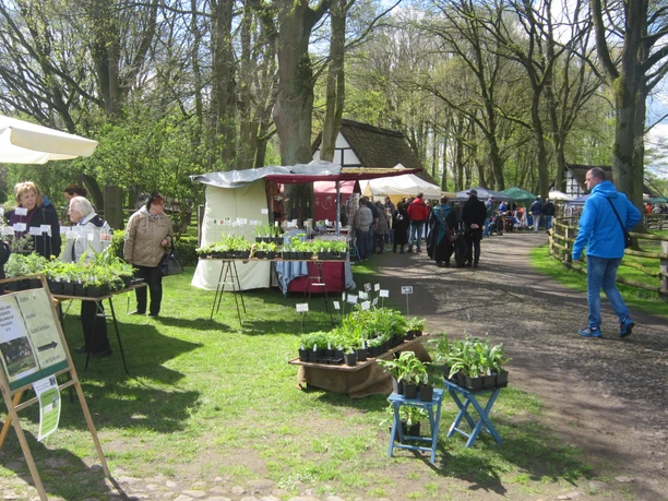 Museumshof Rahden Stände mit Pflanzen und handgefertigten Waren entlang eines Baumwegs beim Museumshof Rahden.