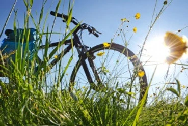 Fahrrad im Gras
