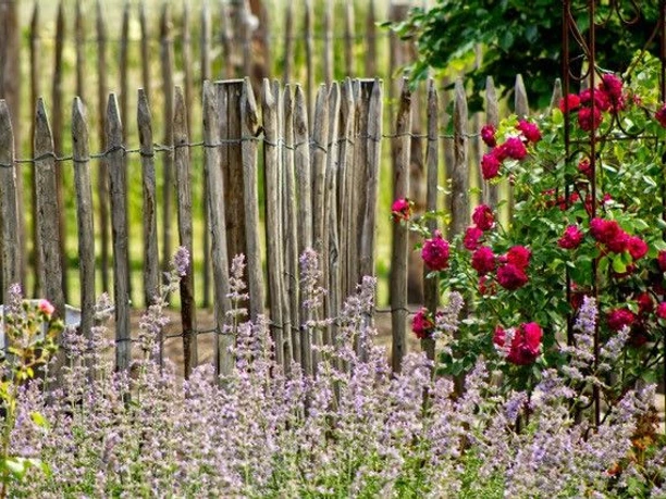 Garten Michaela und Pascal Paus