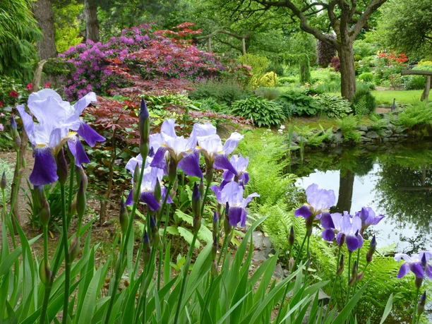 Garten mit Blick zum Teich