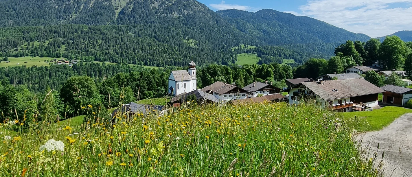 Blick auf Wamberg Bergwiese mit gelben Blumen vor einem kleinen Dorf und einer weißen Kirche unter bewaldeten Hängen
