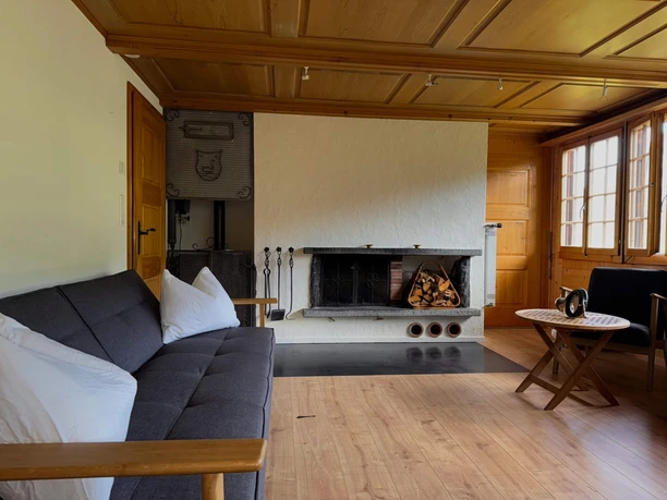 Salle de séjour Canapé et cheminée dans le salon