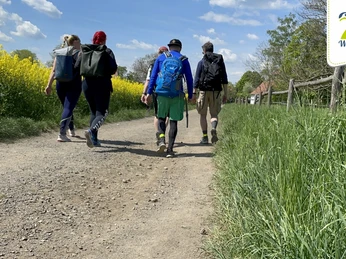 7-Seen-Wanderung©Sportfreunde_Neuseenland (5)_web.jpg Wanderer auf einem ländlichen Weg zwischen Feldern, strahlender Himmel.Hikers on a rural path between fields, bright sky.Turisté na venkovské cestě mezi poli, jasná obloha.Wędrowcy na wiejskiej ścieżce między polami, jasne niebo.Wandelaars op een landelijk pad tussen de velden, heldere lucht.Escursionisti su un sentiero rurale tra i campi, cielo luminoso.