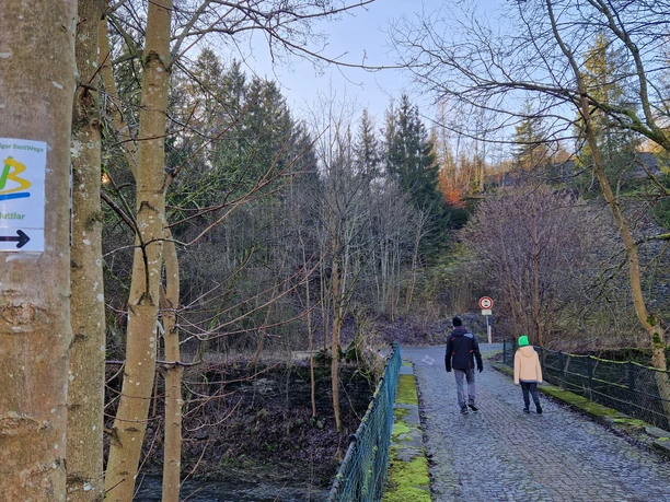 BestWeg Nuttlar