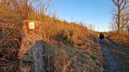BestWeg Nuttlar Suhrenberg BestWeg Nuttlar Suhrenberg