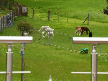 Blick von der Dachterrasse ins Chemnitztal