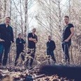 Backwood-Bandfoto-Wald.jpg Backwood Bandfoto im Wald
