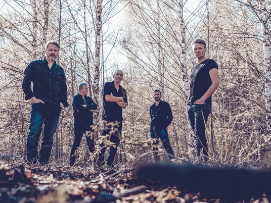 Backwood-Bandfoto-Wald.jpg Backwood Bandfoto im Wald