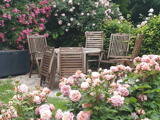 RosindellCottageRosengarten