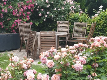 RosindellCottageGarten.jpg RosindellCottageRosengarten