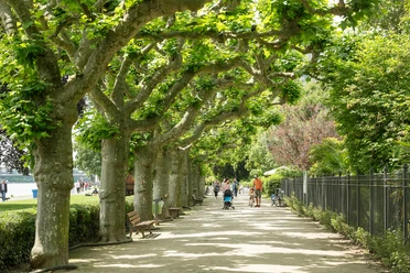 Nizza Park