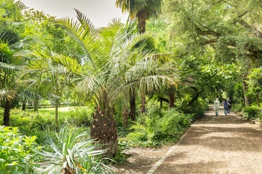 Nizza Park