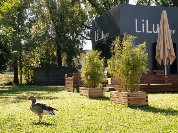 Light and air bath Niederrad (LiLu)