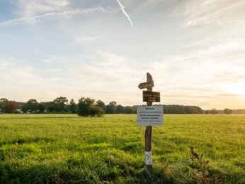 GrünGürtel Schwanheimer Wiese