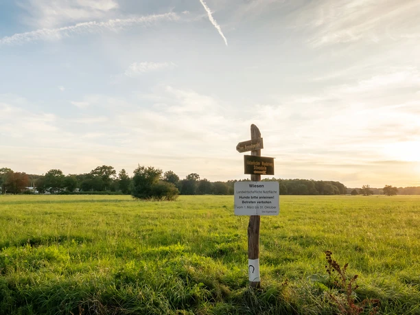 GrünGürtel Schwanheimer Wiese