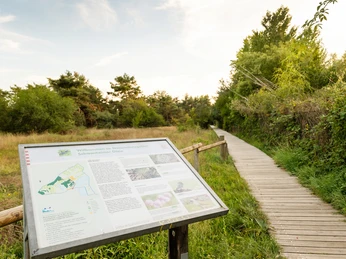 GrünGürtel Schwanheimer Düne