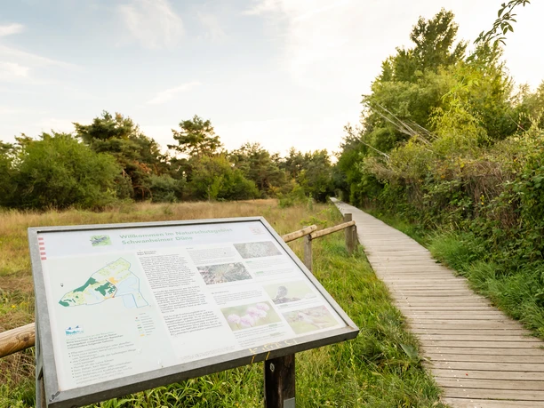 GrünGürtel Schwanheimer Düne