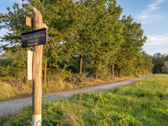 GrünGürtel Schwanheimer Wiese