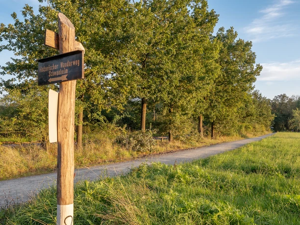 GrünGürtel Schwanheimer Wiese