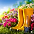 Gardening,Tools,And,Flowers,On,Meadow,At,Sunny,Day Gardening,Tools,And,Flowers,On,Meadow,At,Sunny,Day