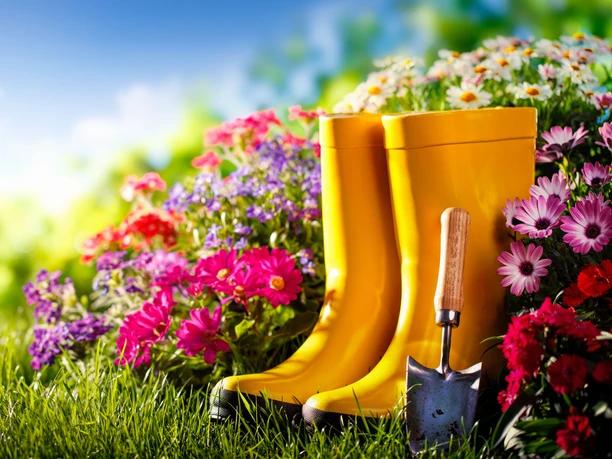Gardening,Tools,And,Flowers,On,Meadow,At,Sunny,Day Gardening,Tools,And,Flowers,On,Meadow,At,Sunny,Day