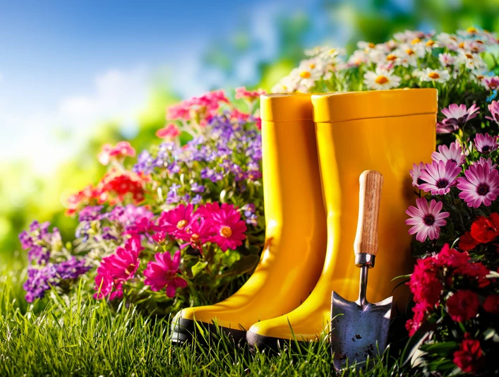 Gardening,Tools,And,Flowers,On,Meadow,At,Sunny,Day Gardening,Tools,And,Flowers,On,Meadow,At,Sunny,Day