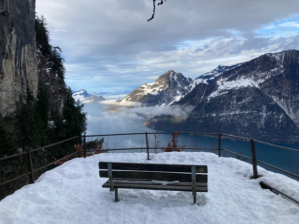 Ausblick vom Förstertrail