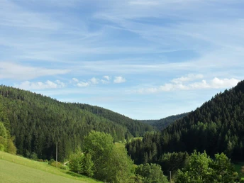 Ausblick - Ferienwohnung Doris und Paul Kaufmann