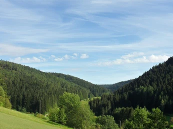 Ausblick - Ferienwohnung Doris und Paul Kaufmann