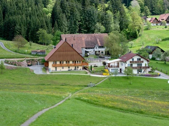 Haus rechts Hauptgebäude, links Nebengebäude