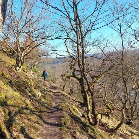 Wandererin am Edersee