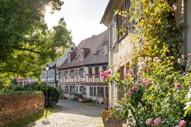 Höchst mit Schloss und Altstadt