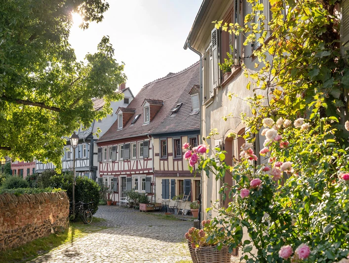 Höchst mit Schloss und Altstadt