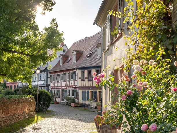 Höchst with castle and old town