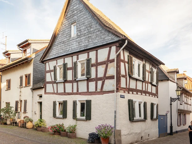 Höchst mit Schloss und Altstadt