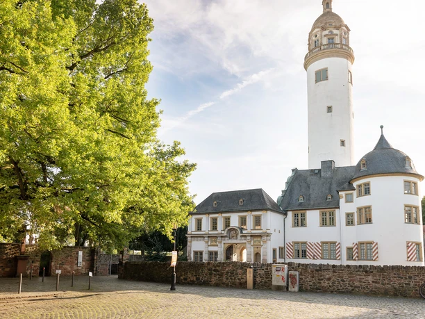 Höchst with castle and old town
