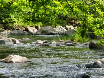 Fluss Chemnitz bei Markersdorf